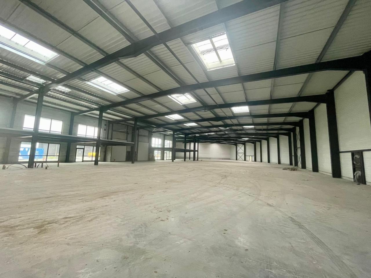 Local d'activité Bondues 3971m² Location local d'activité Bondues Nord OLACT2533613 21